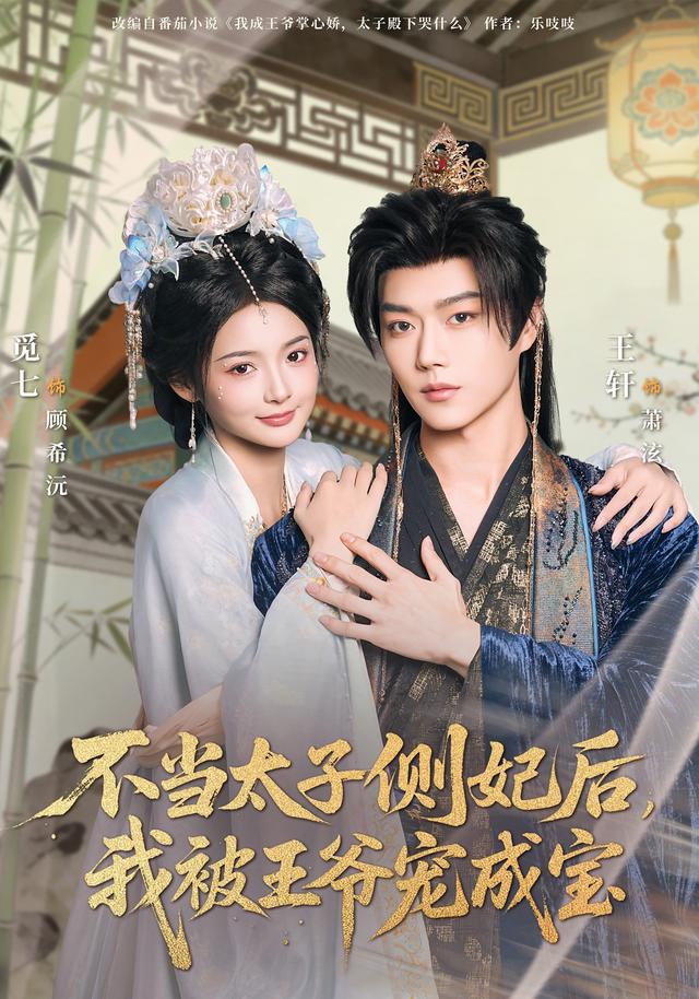 不当太子侧妃后，我被王爷宠成宝海报